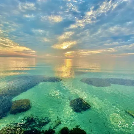 Island **** *